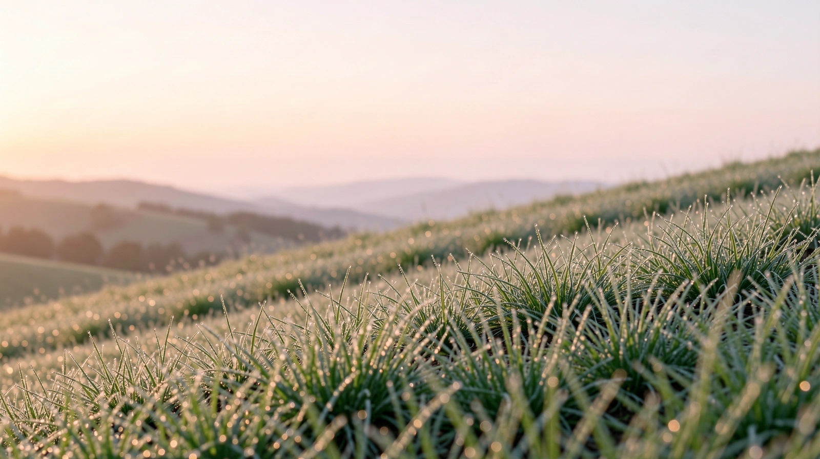Morgendliche Landschaft in sanftem Licht